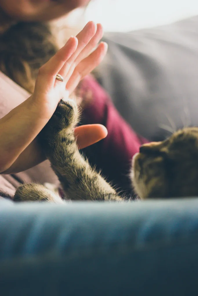 teaching kindness to kids