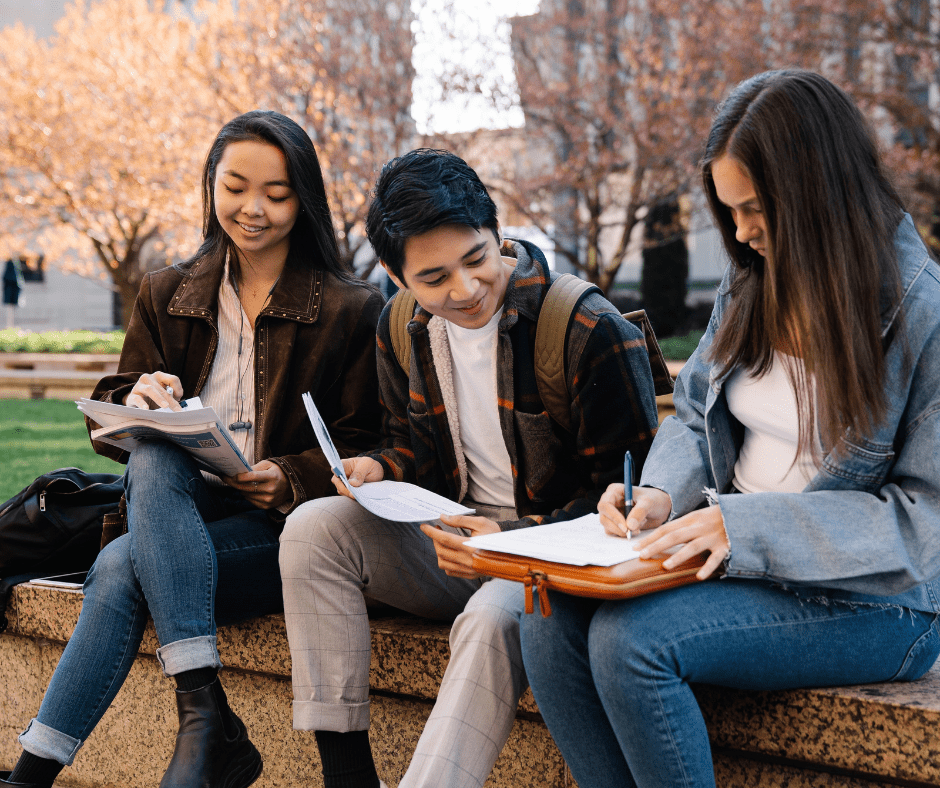 Students studying outdoors