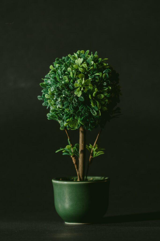 a growth mindset