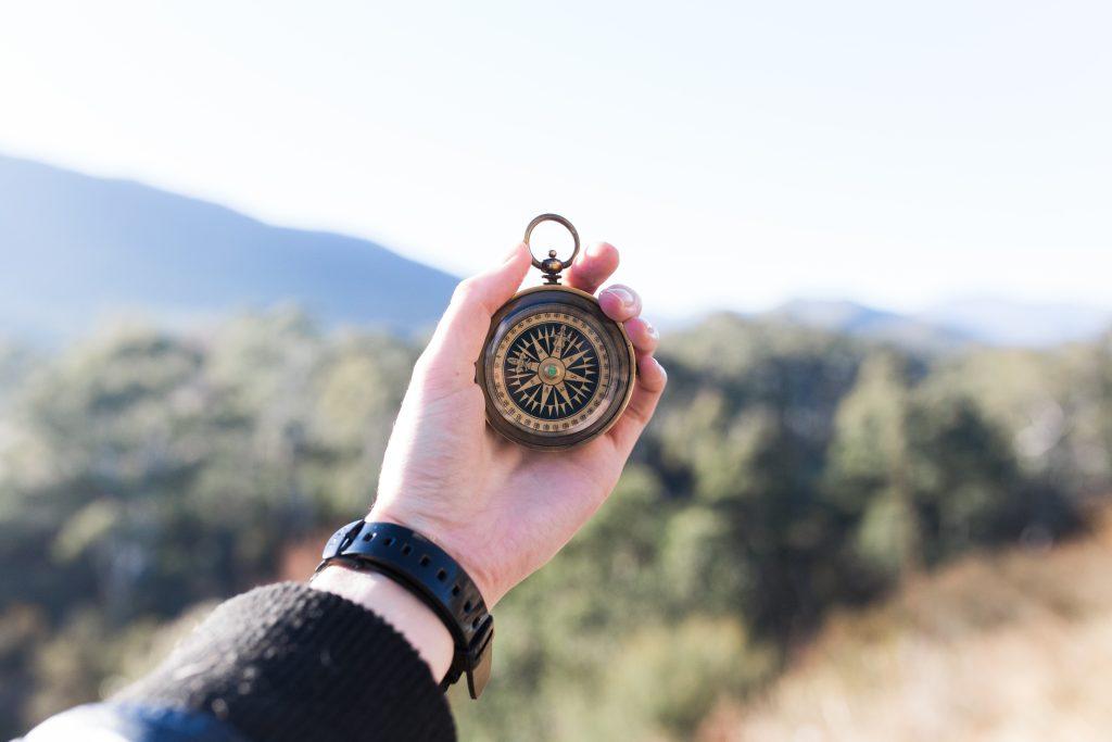 finding your career path